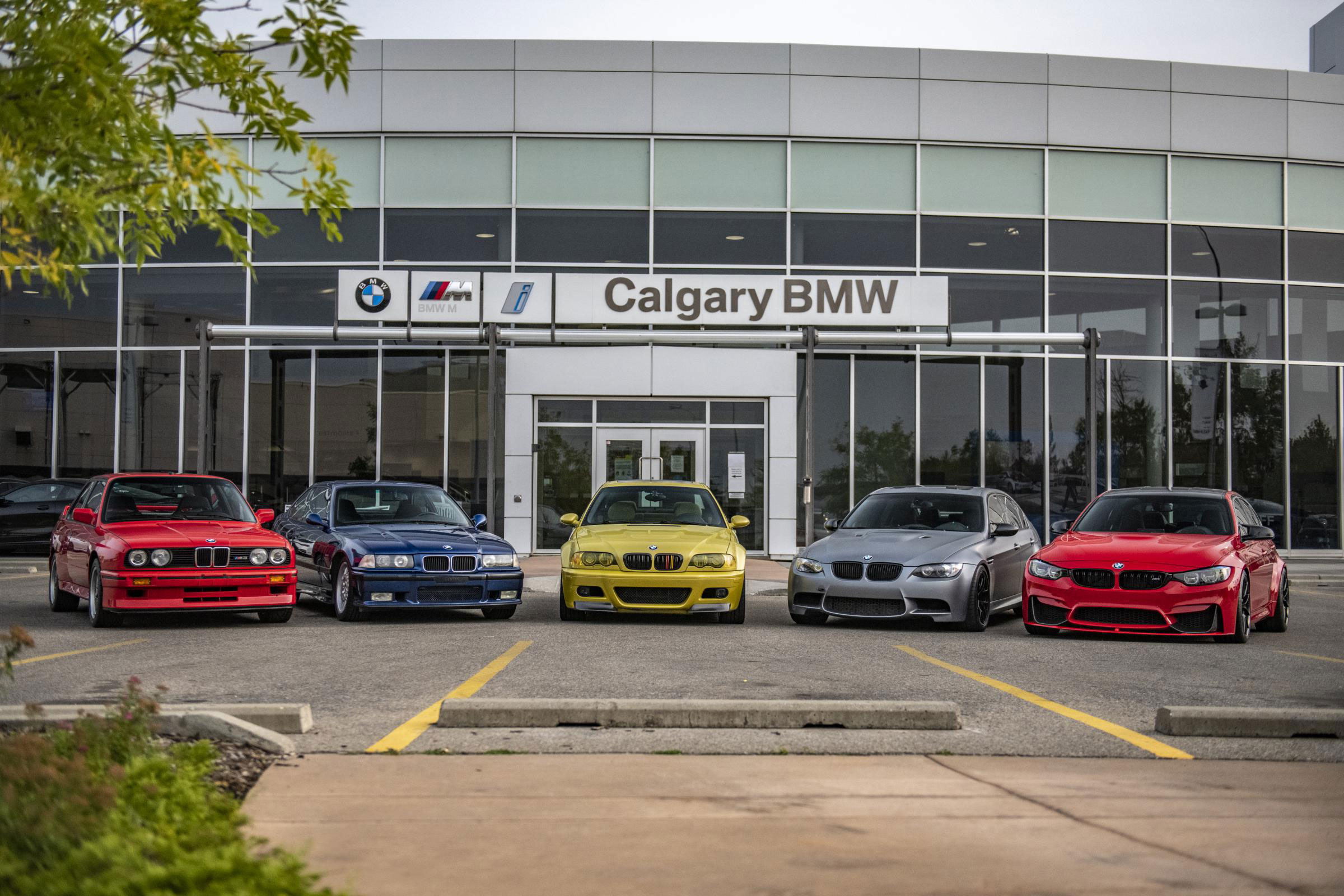 Calgary BMW Building with asphalt parking lot and line painting